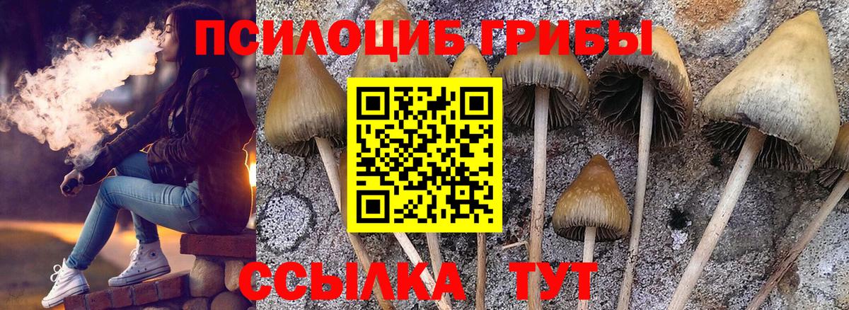Псилоцибиновые грибы Cubensis  Галлюциногенные грибы Cubensis  Вход с VPN  Белово 