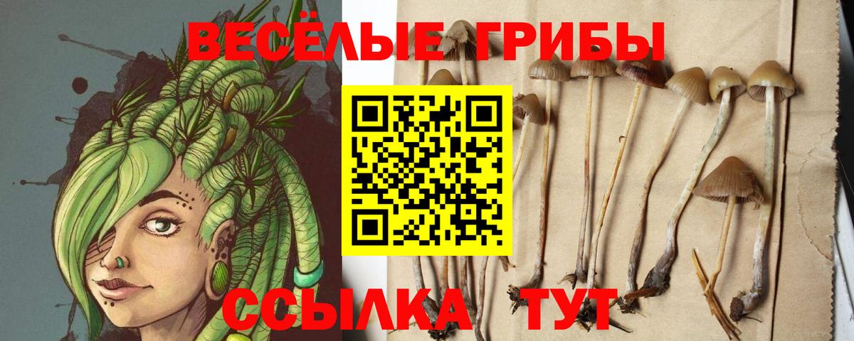 Галлюциногенные грибы ЛСД Белово